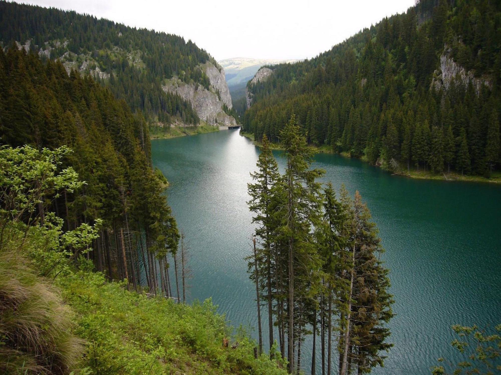 Boutique Hotel Forest Retreat (Adults Only) Buşteni 部屋 写真