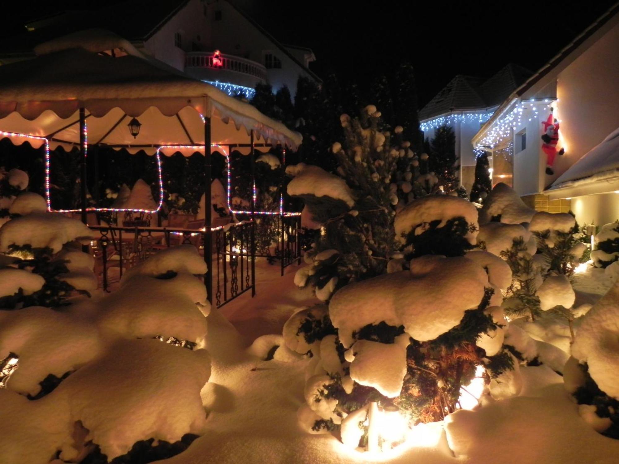 Boutique Hotel Forest Retreat (Adults Only) Buşteni エクステリア 写真