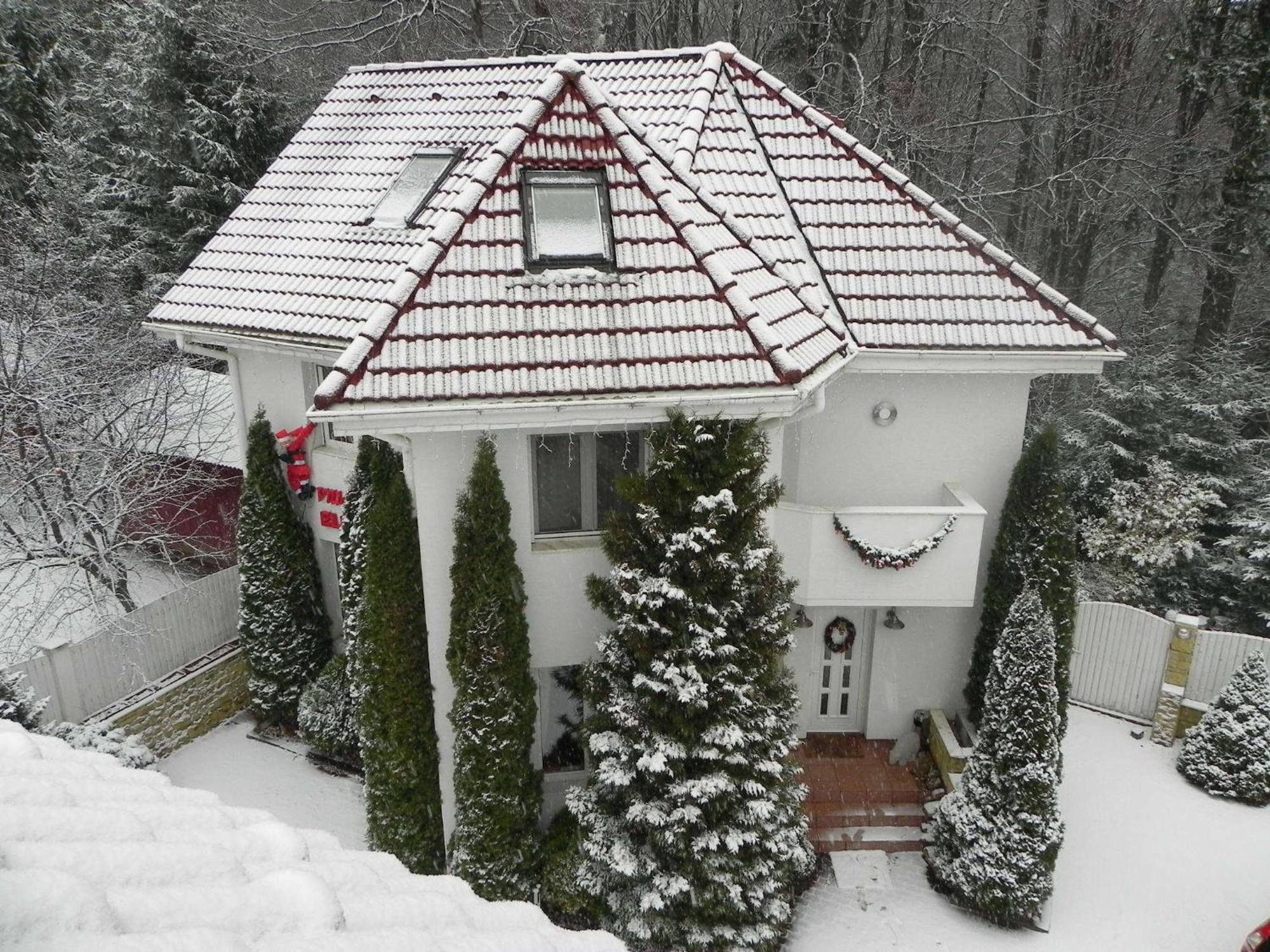 Boutique Hotel Forest Retreat (Adults Only) Buşteni エクステリア 写真