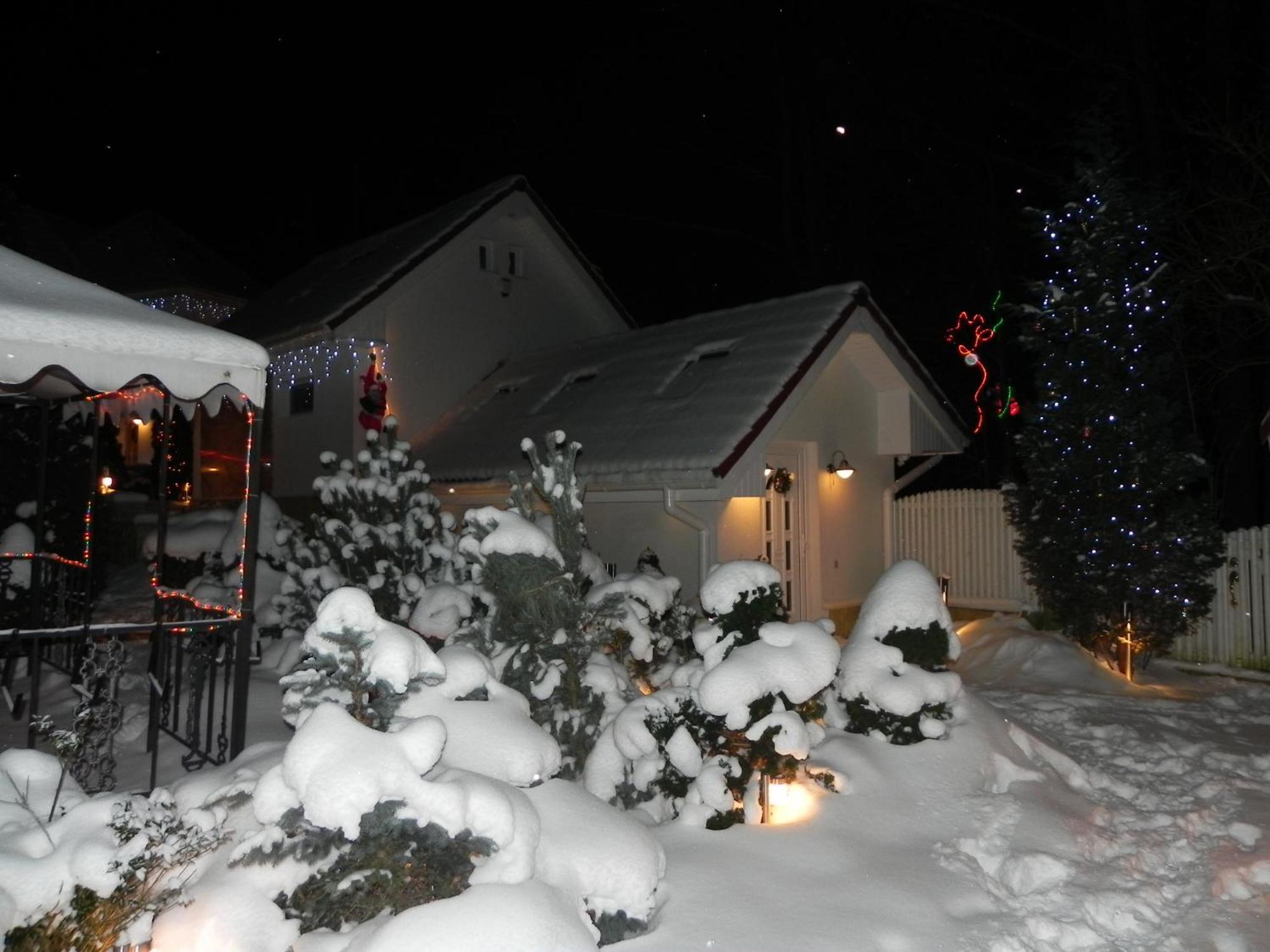 Boutique Hotel Forest Retreat (Adults Only) Buşteni エクステリア 写真