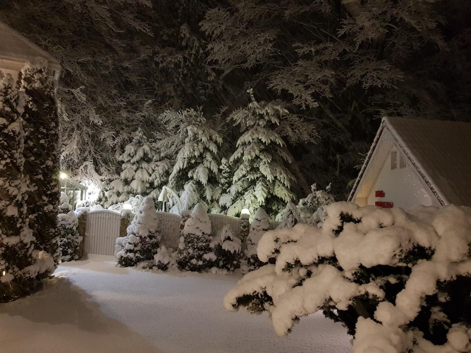 Boutique Hotel Forest Retreat (Adults Only) Buşteni エクステリア 写真