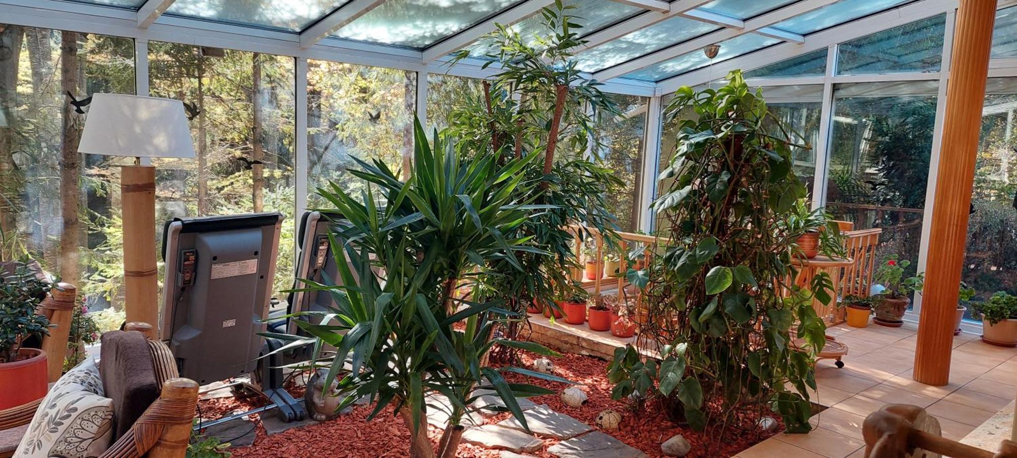 Boutique Hotel Forest Retreat (Adults Only) Buşteni エクステリア 写真