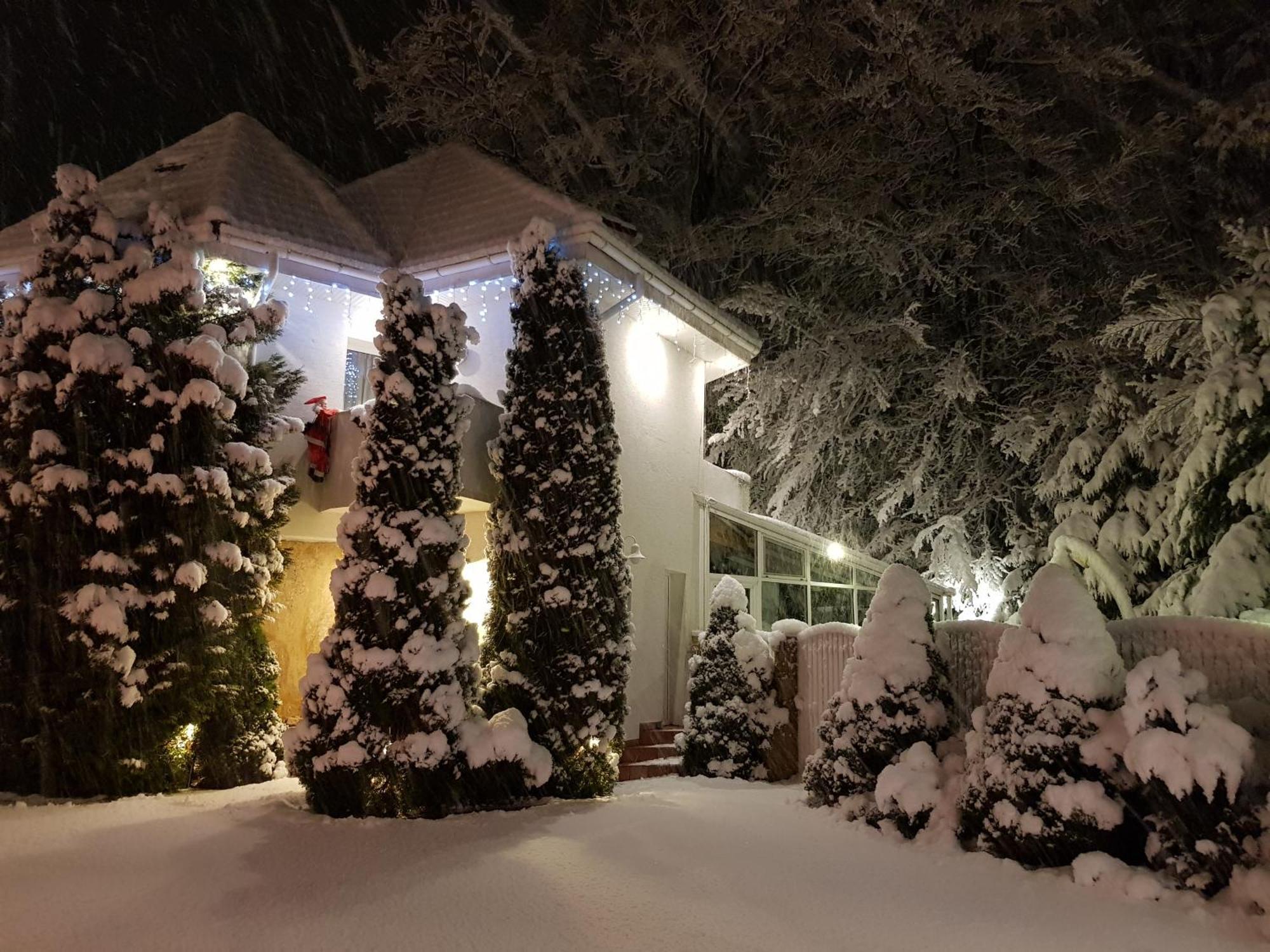 Boutique Hotel Forest Retreat (Adults Only) Buşteni エクステリア 写真
