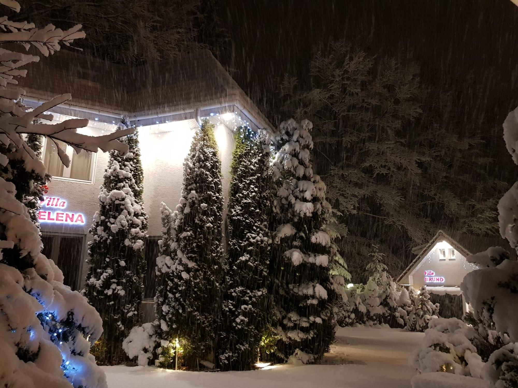 Boutique Hotel Forest Retreat (Adults Only) Buşteni エクステリア 写真