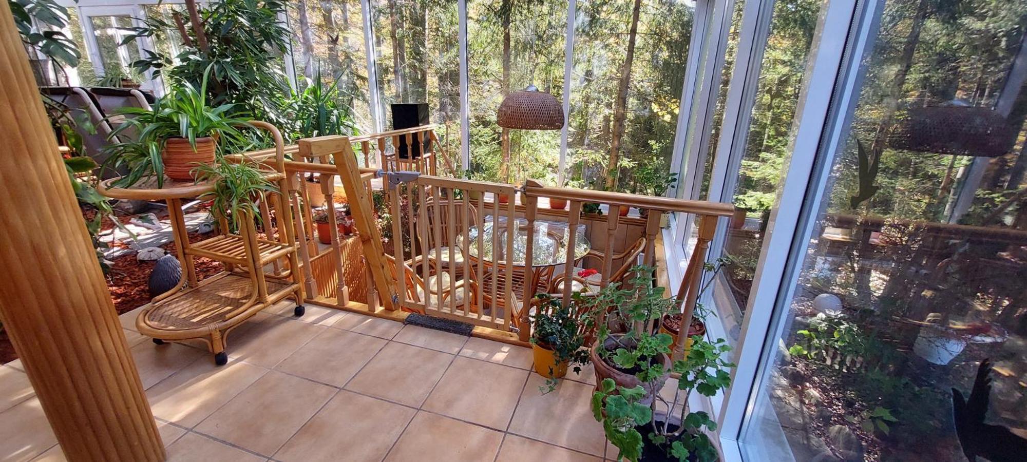 Boutique Hotel Forest Retreat (Adults Only) Buşteni エクステリア 写真