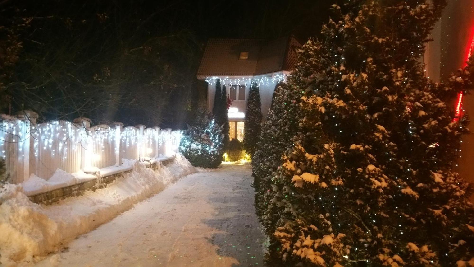 Boutique Hotel Forest Retreat (Adults Only) Buşteni エクステリア 写真