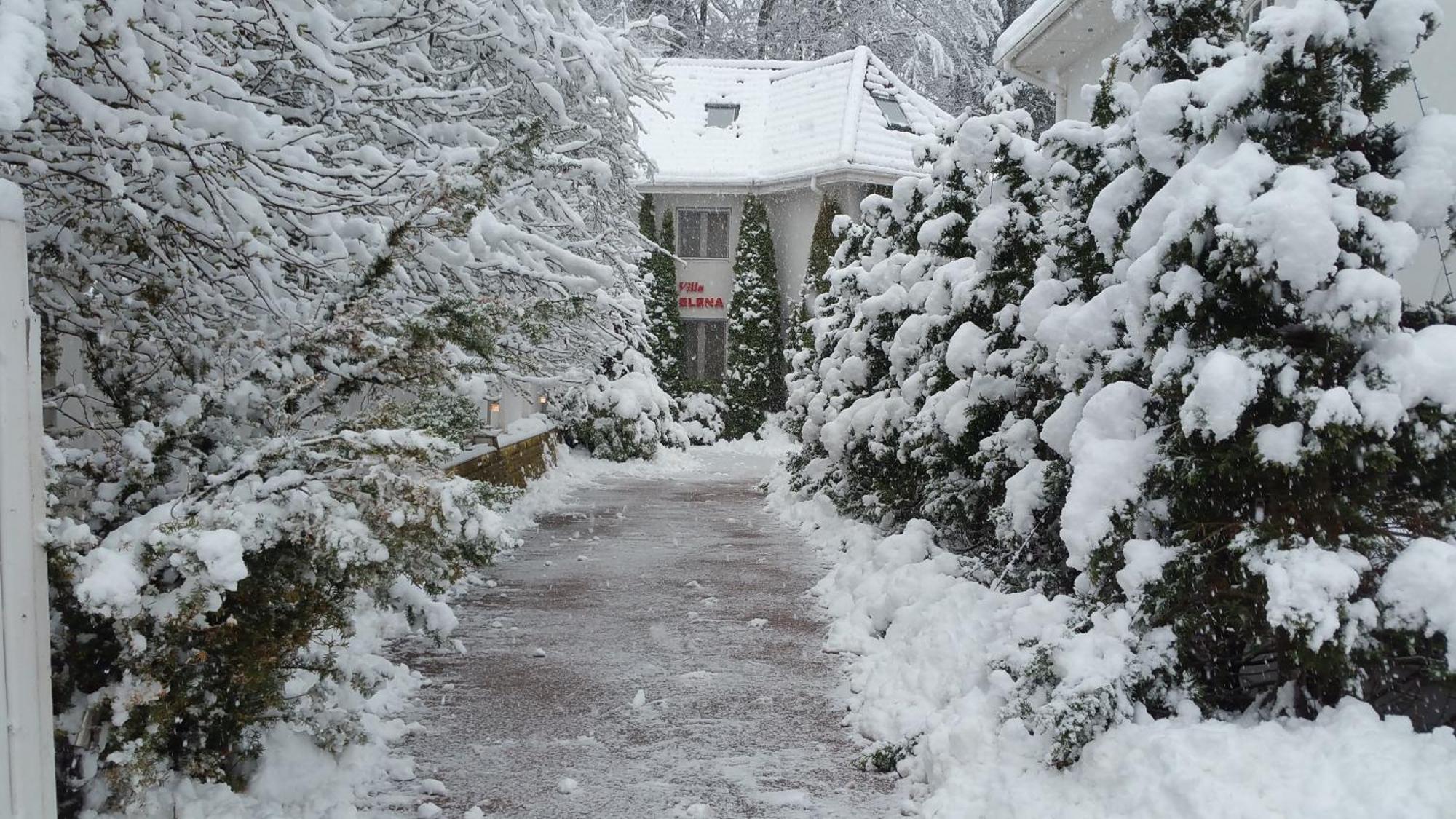 Boutique Hotel Forest Retreat (Adults Only) Buşteni エクステリア 写真