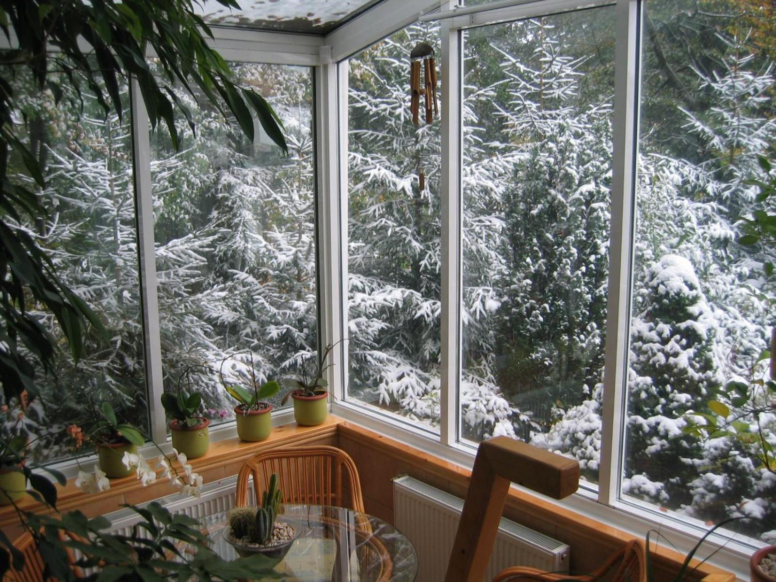 Boutique Hotel Forest Retreat (Adults Only) Buşteni エクステリア 写真