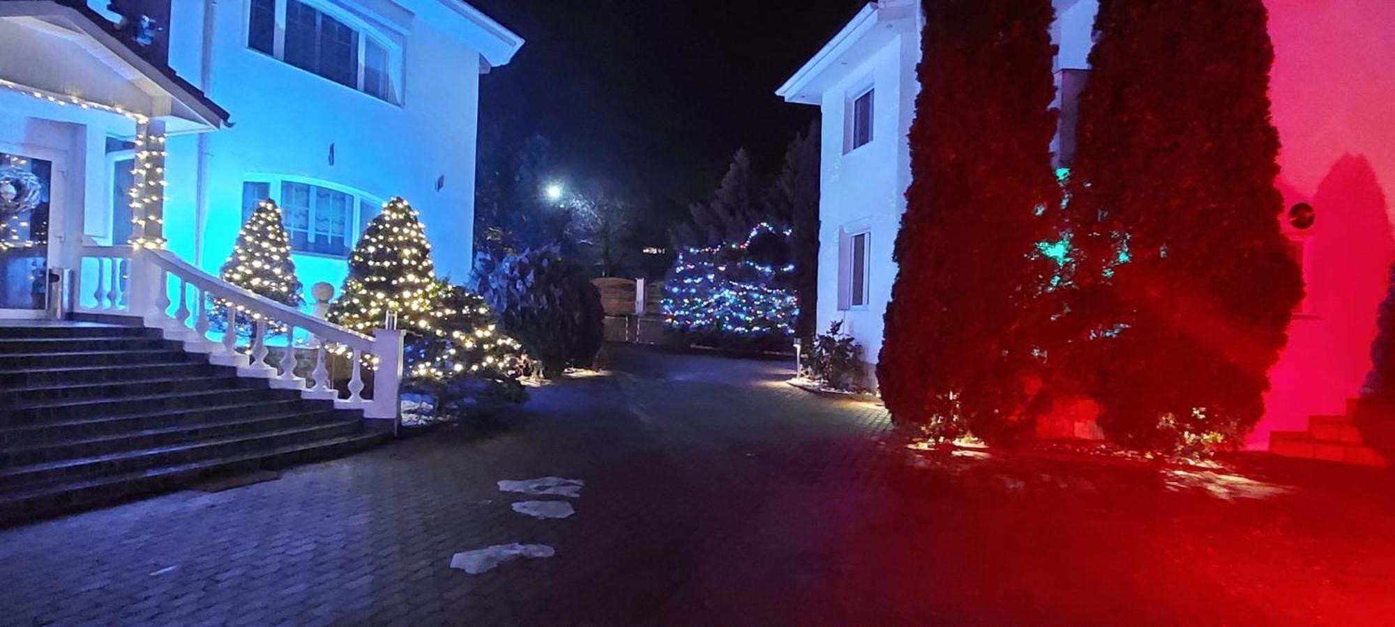 Boutique Hotel Forest Retreat (Adults Only) Buşteni エクステリア 写真