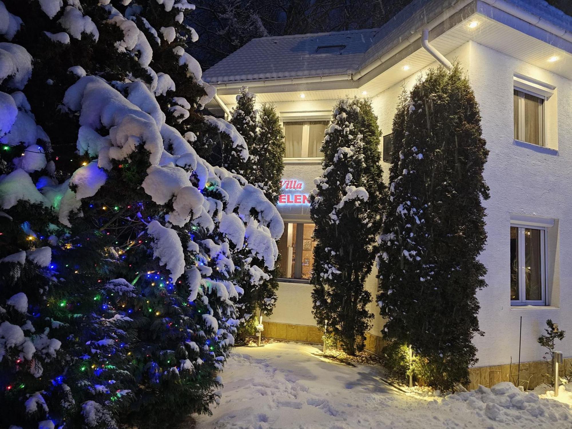 Boutique Hotel Forest Retreat (Adults Only) Buşteni エクステリア 写真