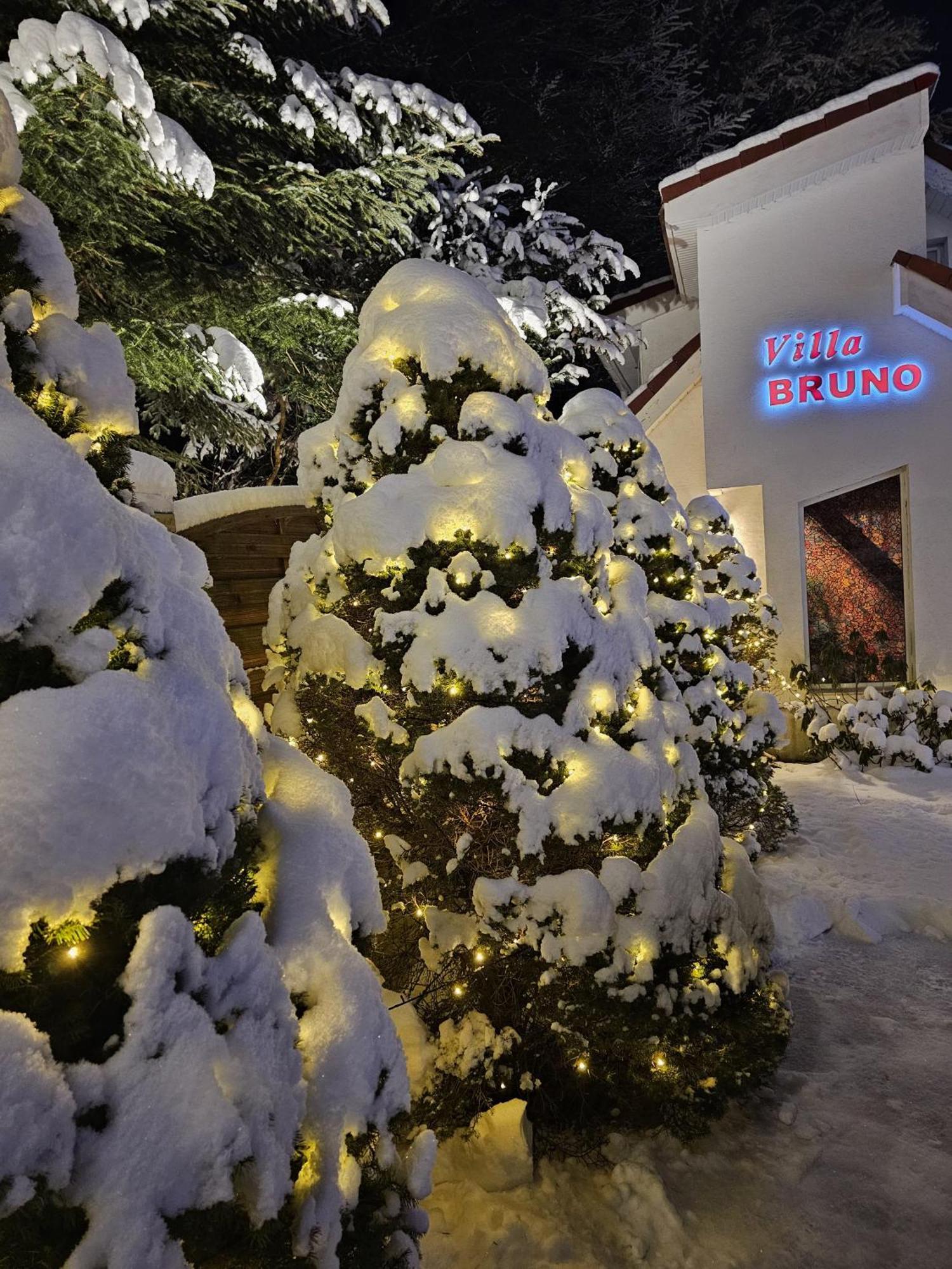 Boutique Hotel Forest Retreat (Adults Only) Buşteni エクステリア 写真
