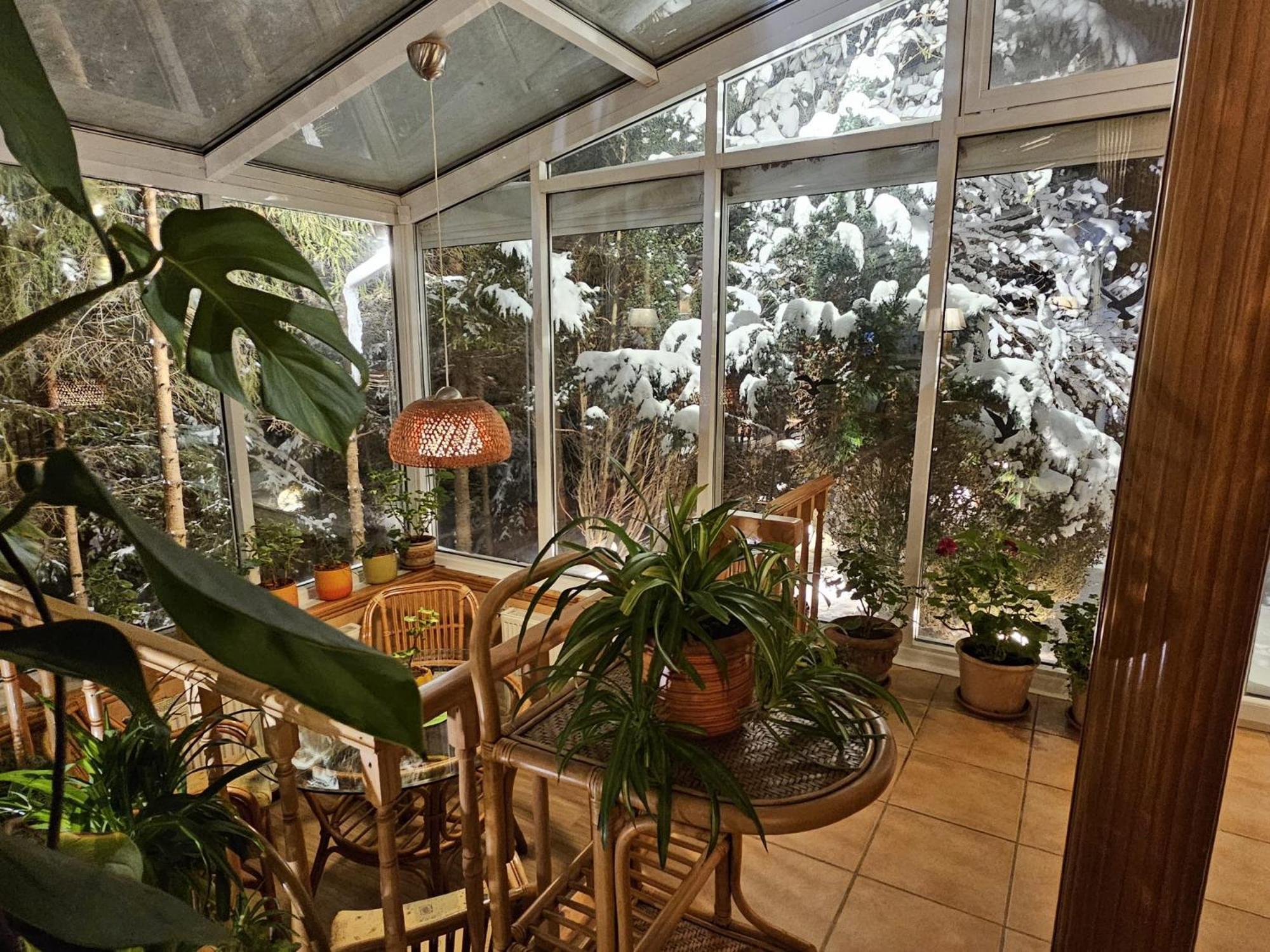 Boutique Hotel Forest Retreat (Adults Only) Buşteni エクステリア 写真