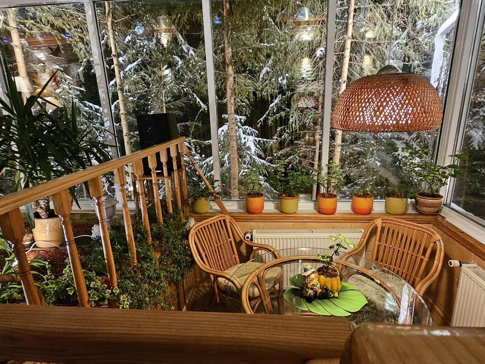 Boutique Hotel Forest Retreat (Adults Only) Buşteni エクステリア 写真