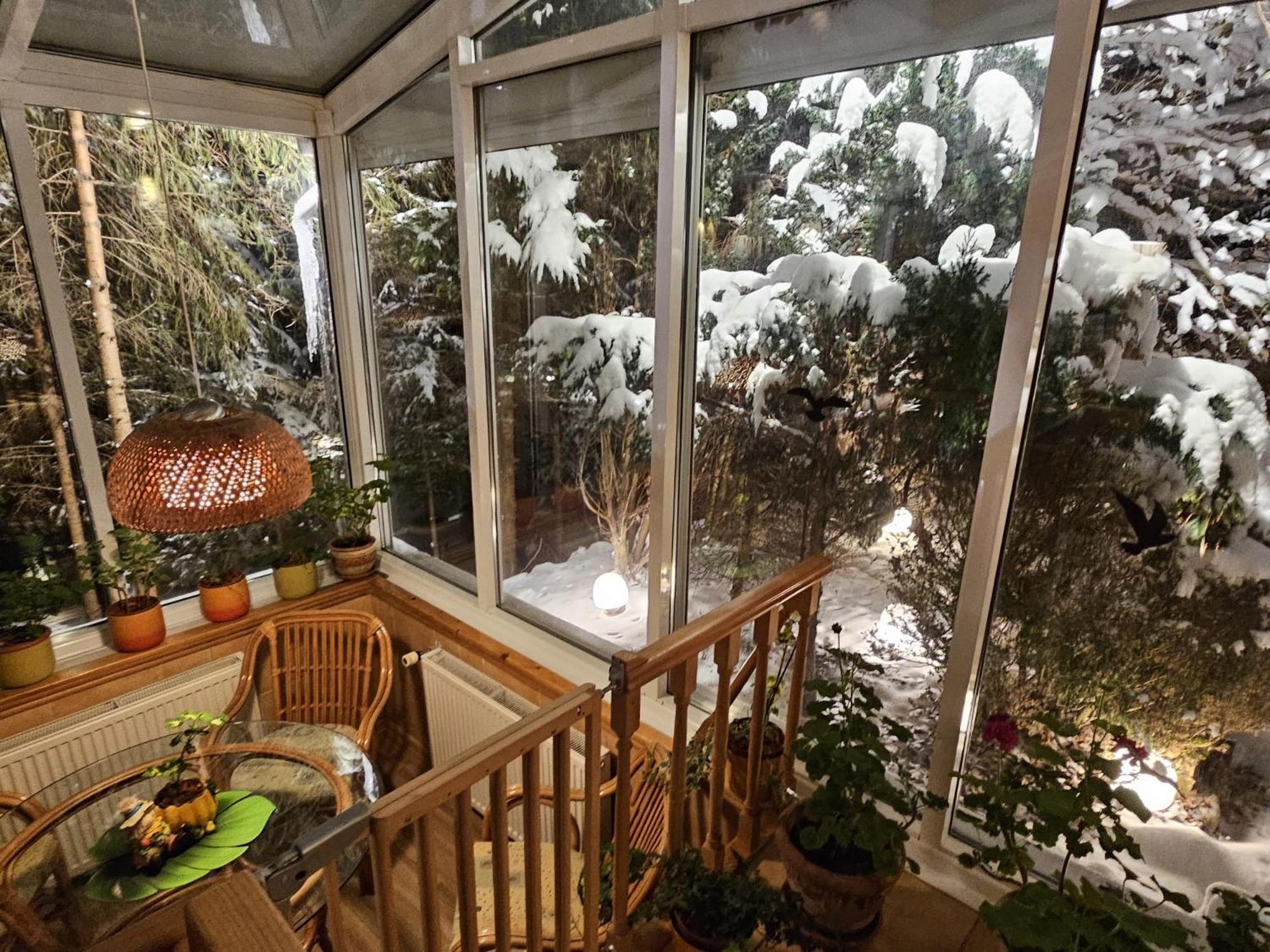 Boutique Hotel Forest Retreat (Adults Only) Buşteni エクステリア 写真